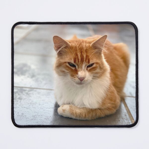 Item preview, Young reverent red-haired cat designed and sold by AHELENE.
