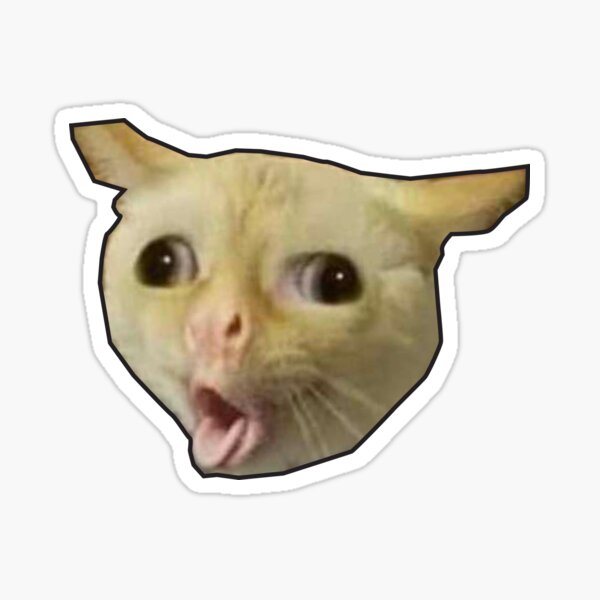 meme cat ~48Hours Sale~ Sticker Sticker