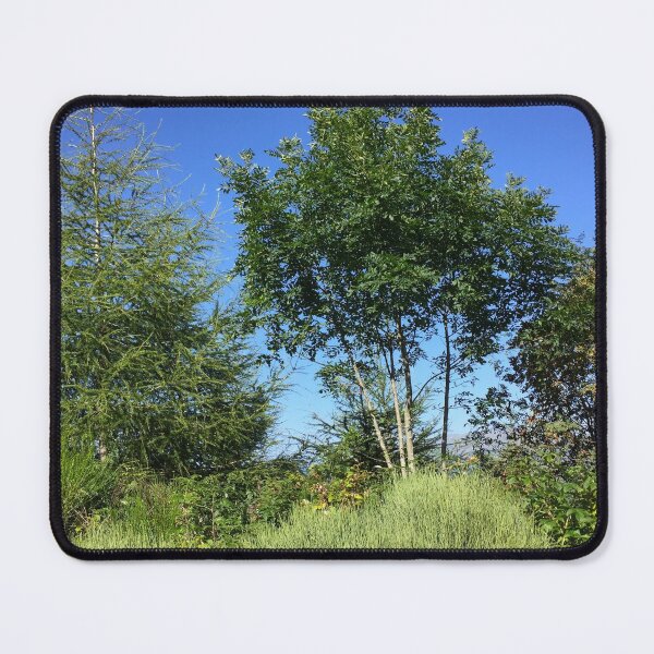 Item preview, Ariège Pyrenees - Miglos view 5 designed and sold by AHELENE.