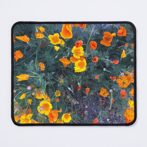 Item preview, Icelandic poppies designed and sold by AHELENE.