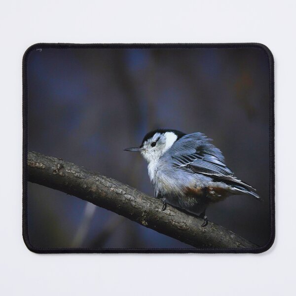 Item preview, Nuthatch designed and sold by Yannik Hay.