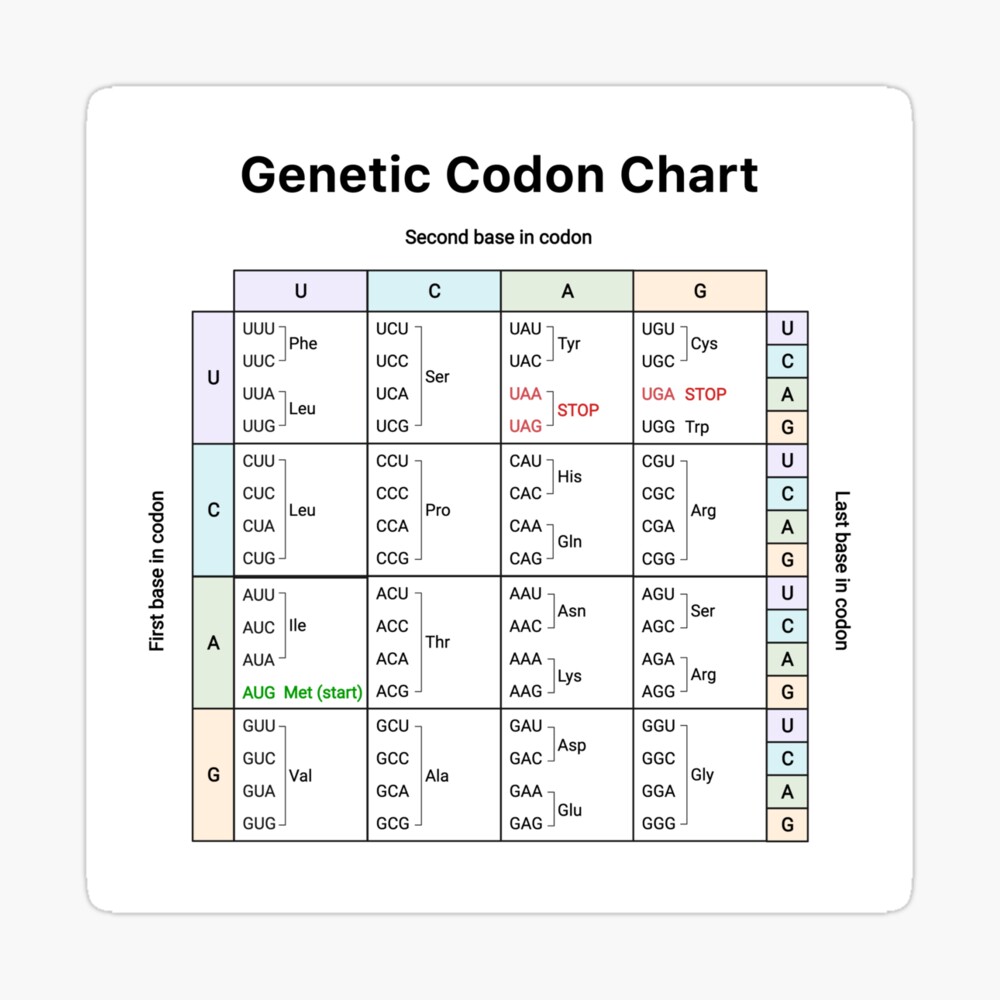Genetic Codon Chart Mouse Pad