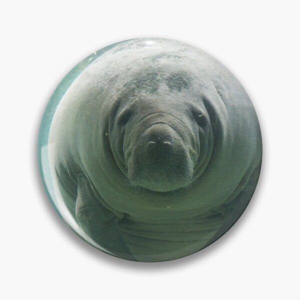 Item preview, Just A Girl Who Loves Manatees designed and sold by Beluved.