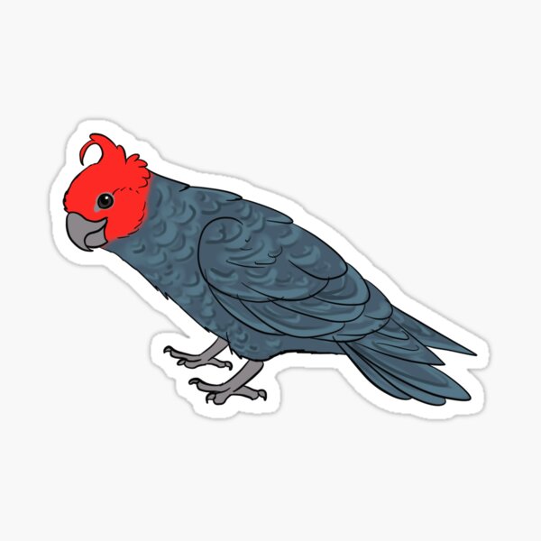 Gang Gang Cockatoo Merch & Gifts for Sale