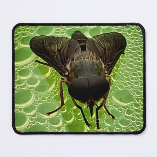 Item preview, Lord of the Flies designed and sold by Dead-Moroz.