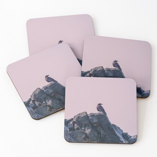 Item preview, coastal crow designed and sold by Vitirelli.