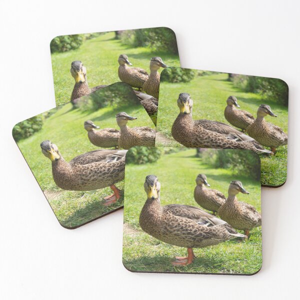 Item preview, Quackerz designed and sold by hawkie.
