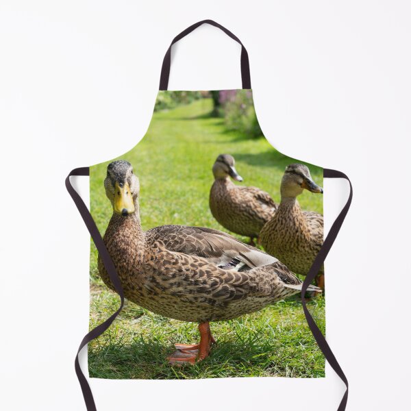 Item preview, Quackerz designed and sold by hawkie.