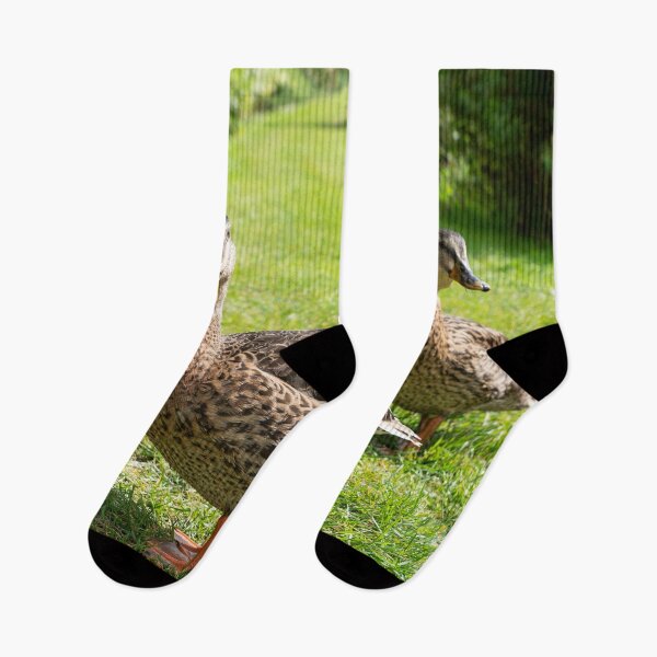 Item preview, Quackerz designed and sold by hawkie.