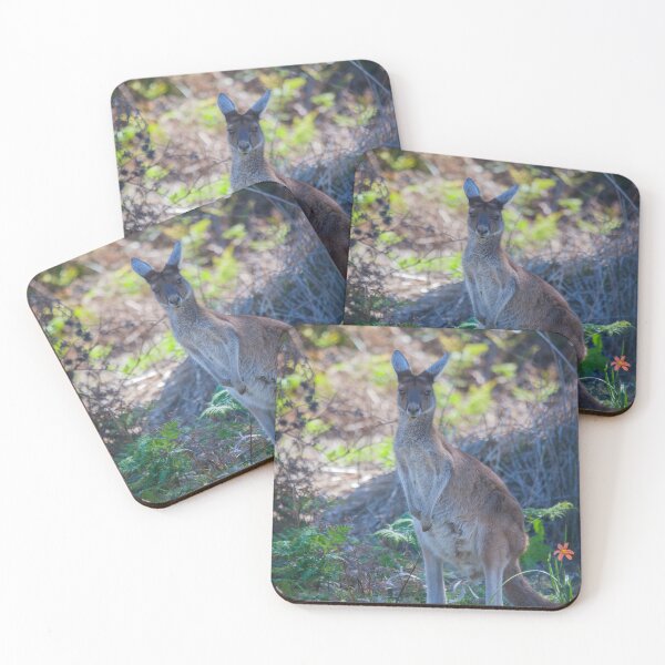 Item preview, Wild Roo II designed and sold by TVD-Photography.