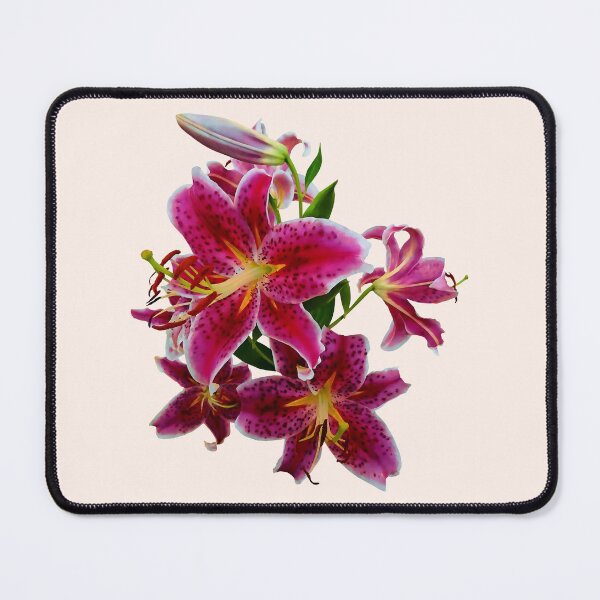 Item preview, Cascade of Stargazer Lilies designed and sold by Susan Savad.