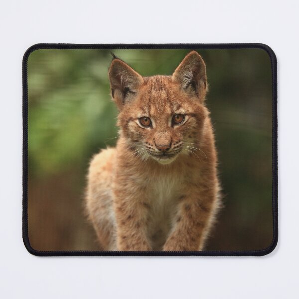 Item preview, Baby Lynx II designed and sold by Daniela Pintimalli.