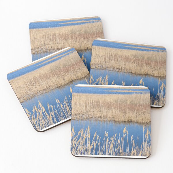 Item preview, Marsh designed and sold by Matthew Carroll.