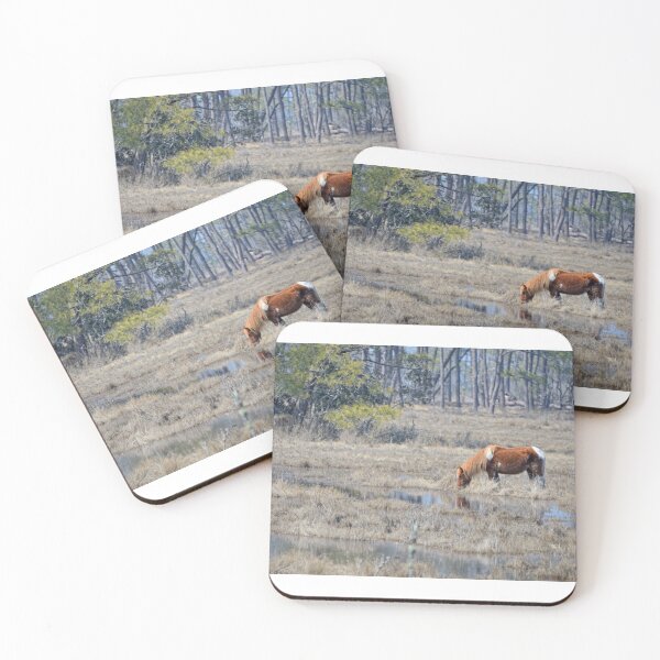 Item preview, Chincoteague designed and sold by Matthew Carroll.