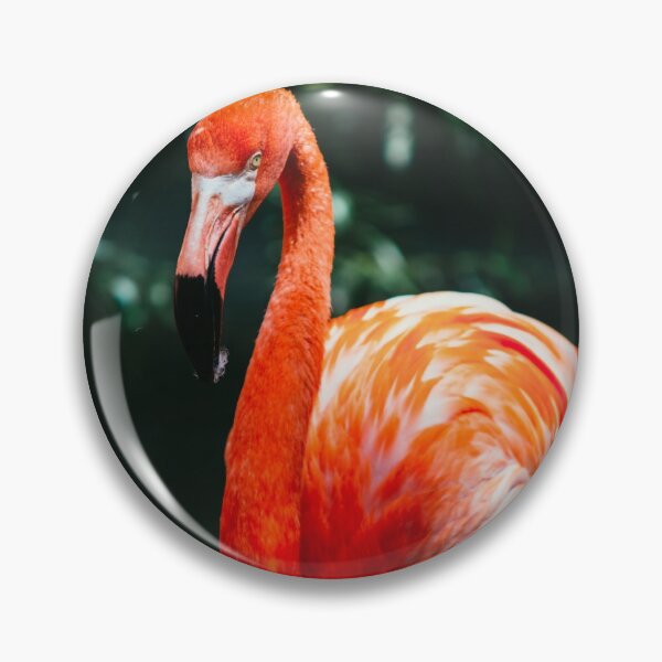 Item preview, Flamingo Print, Antique Bird Painting, Drawing Wall Art Decor, Bird Artwork designed and sold by Yeldiz.