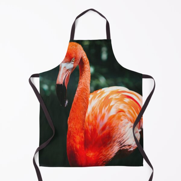 Item preview, Flamingo Print, Antique Bird Painting, Drawing Wall Art Decor, Bird Artwork designed and sold by Yeldiz.