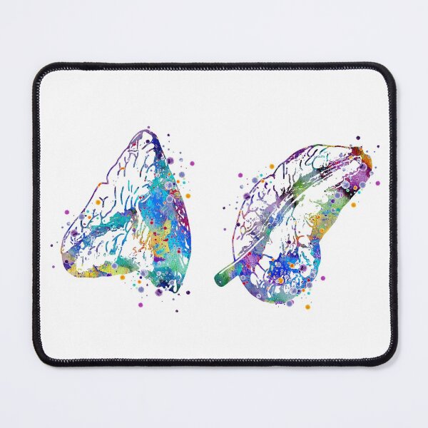Item preview, Adrenal Gland Watercolor Anatomy Drawing designed and sold by LotusGifts.