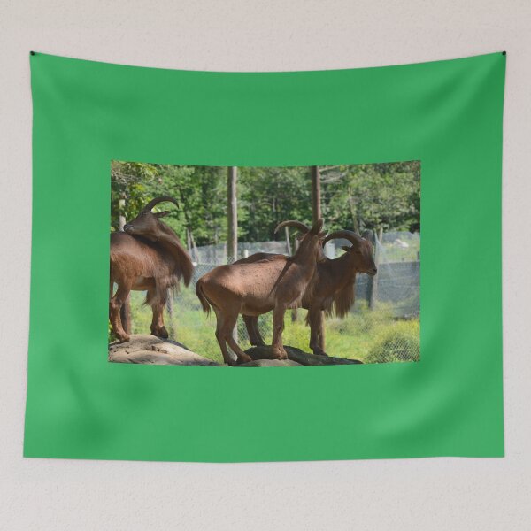 Item preview, Three Billy goats gruff designed and sold by enchantedvibes.