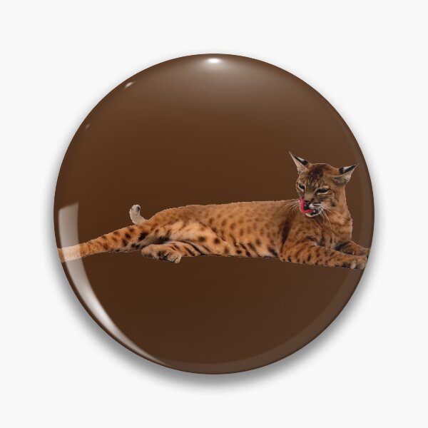 Item preview, The Brown Lynx Lying Down Has Stretched Out Its Hind Leg And Is Licking Its Lips designed and sold by Phantasmal-2-do.