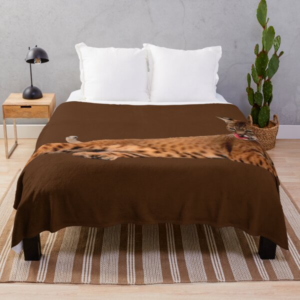 Item preview, The Brown Lynx Lying Down Has Stretched Out Its Hind Leg And Is Licking Its Lips designed and sold by Phantasmal-2-do.
