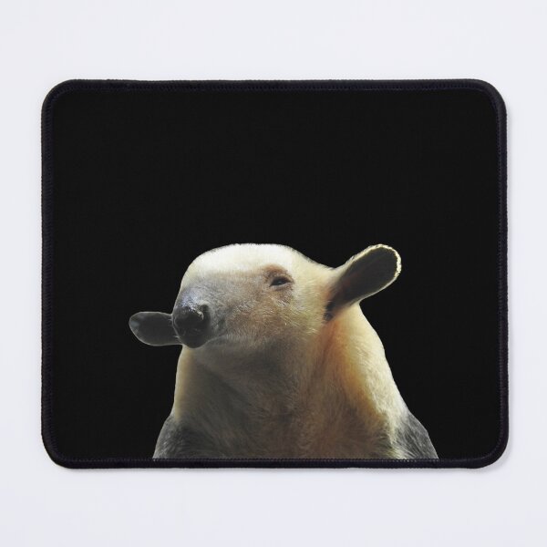 Item preview, Smiling Tamandua  designed and sold by andrew82984.