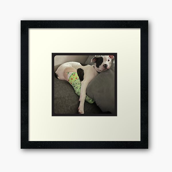 What A Pitty Framed Art Print