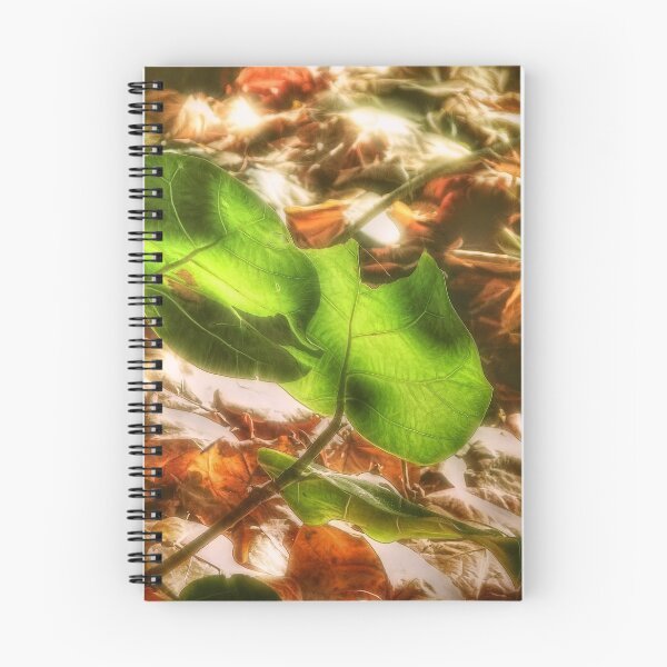 Item preview, Life and Light designed and sold by Noble Upchurch.