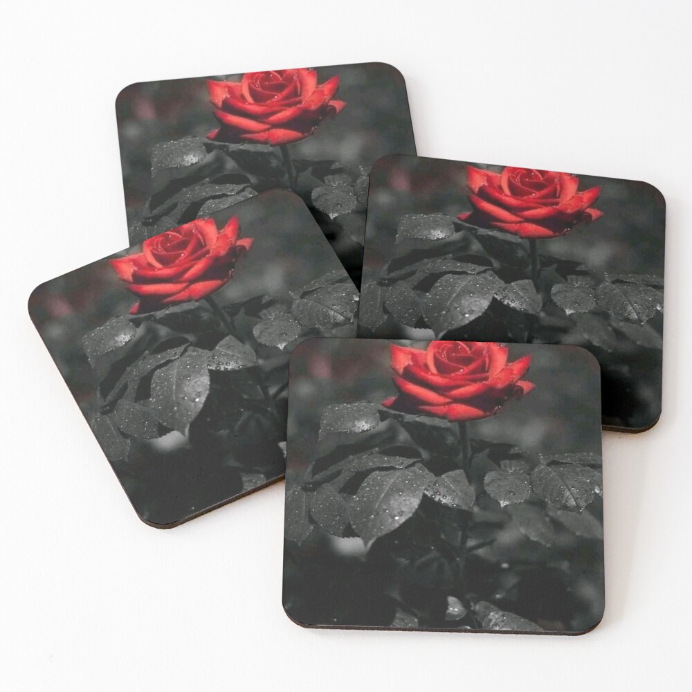 Item preview, Coasters (Set of 4) designed and sold by BestRainbo.
