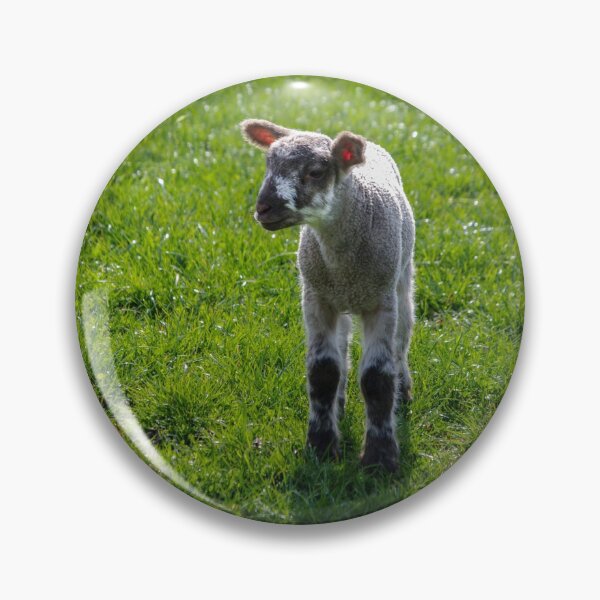 Item preview, Lost lamb Bible text designed and sold by LindaCooke.