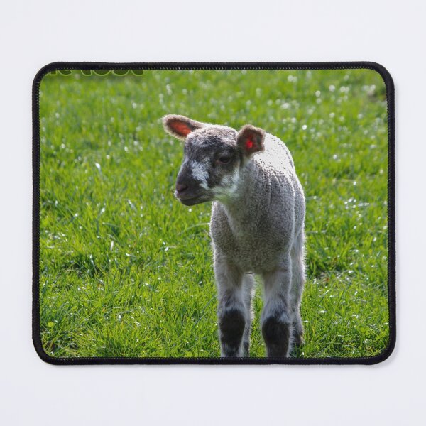 Item preview, Lost lamb Bible text designed and sold by LindaCooke.