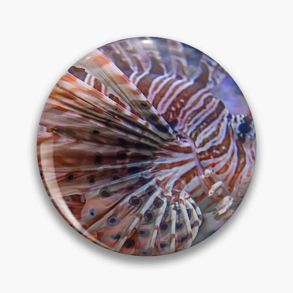 Item preview, USA. Seattle. Aquarium. Lionfish. designed and sold by vadim19.