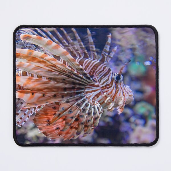 Item preview, USA. Seattle. Aquarium. Lionfish. designed and sold by vadim19.