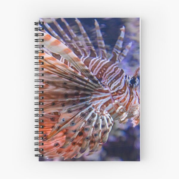 Item preview, USA. Seattle. Aquarium. Lionfish. designed and sold by vadim19.