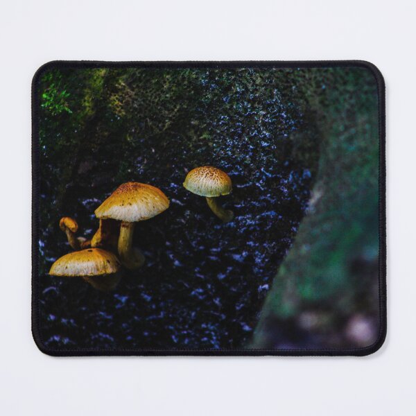 Item preview, Mushrooms growing on decaying log in Myakka River forest designed and sold by TrystaLC.