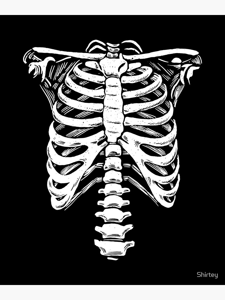 Beautiful Rib Cage Cartoon Skeleton Torso Halloween - Roblox T Shirts Png  PNG Image