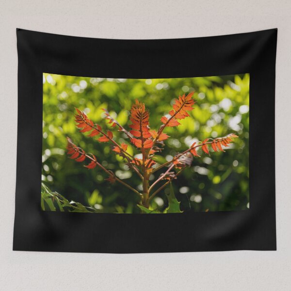 Item preview, An orange colour plant in a sunny garden designed and sold by AlbertMi.