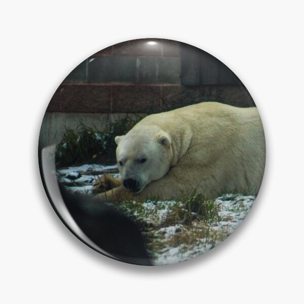 Item preview, H0134 Polar Bear designed and sold by photographyemd.