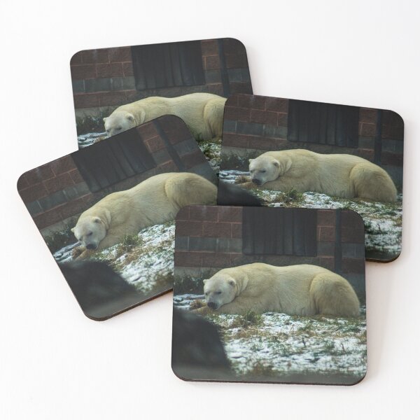Item preview, H0134 Polar Bear designed and sold by photographyemd.