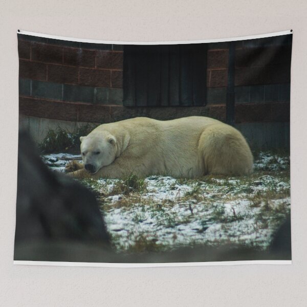 Item preview, H0134 Polar Bear designed and sold by photographyemd.