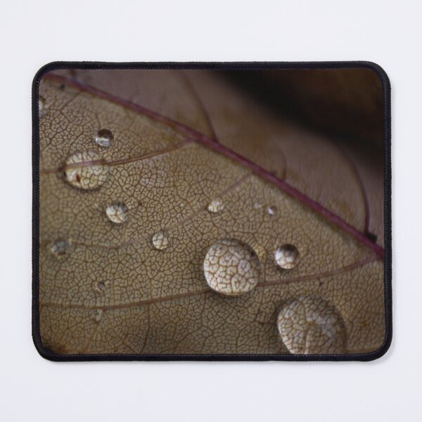 Item preview, H0135 Raindrops designed and sold by photographyemd.