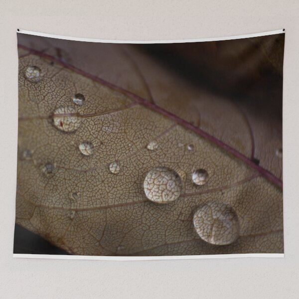 Item preview, H0135 Raindrops designed and sold by photographyemd.