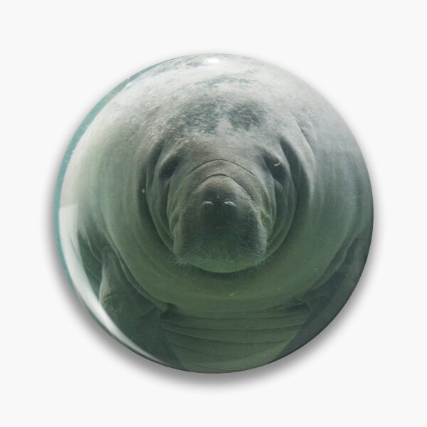 Item preview,  Just A Girl Who Loves Cute Manatees designed and sold by Beluved.