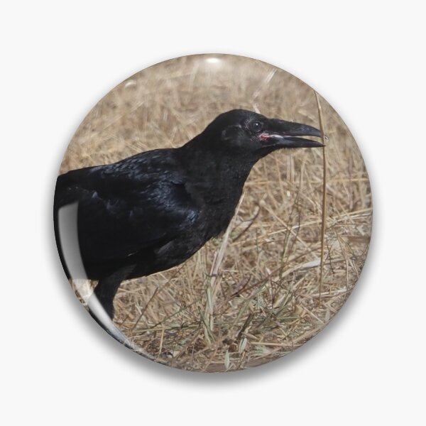Item preview, Talking Raven designed and sold by happynaturalist.