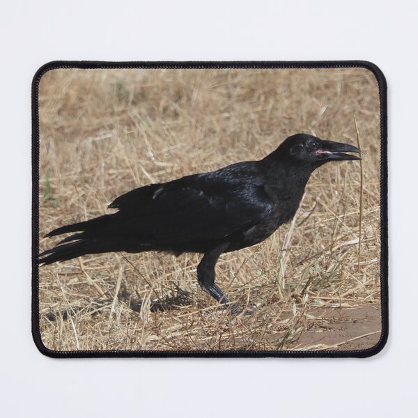 Item preview, Talking Raven designed and sold by happynaturalist.