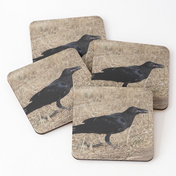 Item preview, Talking Raven designed and sold by happynaturalist.