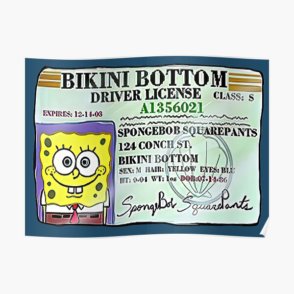 "BIKINI BOTTOM DRIVER LICENCE" Poster by VINTAGEGARAGE Redbubble