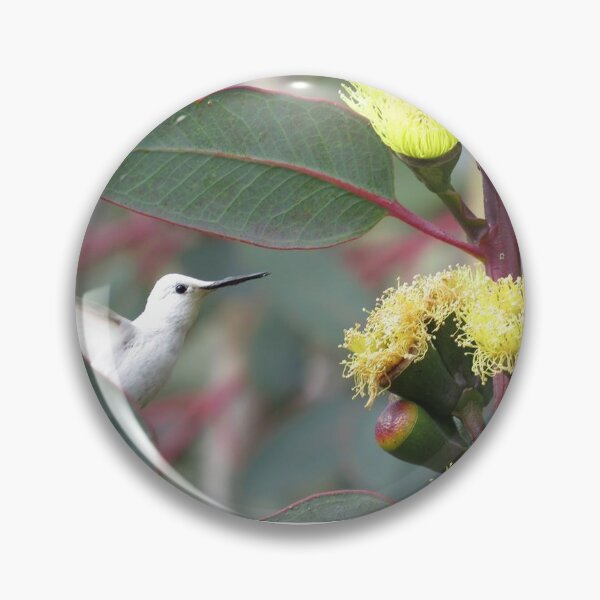 Item preview, White Anna's Hummingbird II designed and sold by happynaturalist.