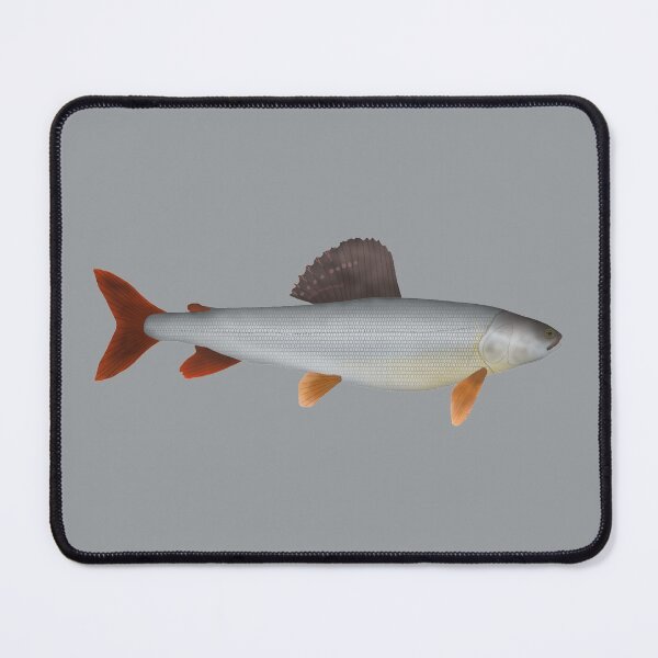 Item preview, Kosogol Grayling designed and sold by fishfolkart.