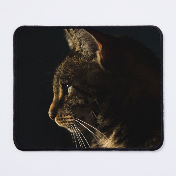 #89447 23x19cm Augen Blick Tierposter Mauspad Mousepad Katzen 