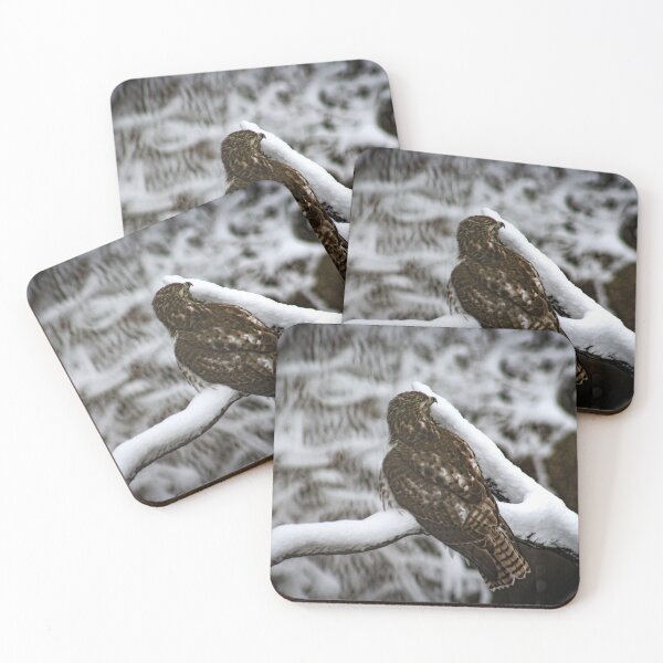 Item preview, H0138 Hawk designed and sold by photographyemd.